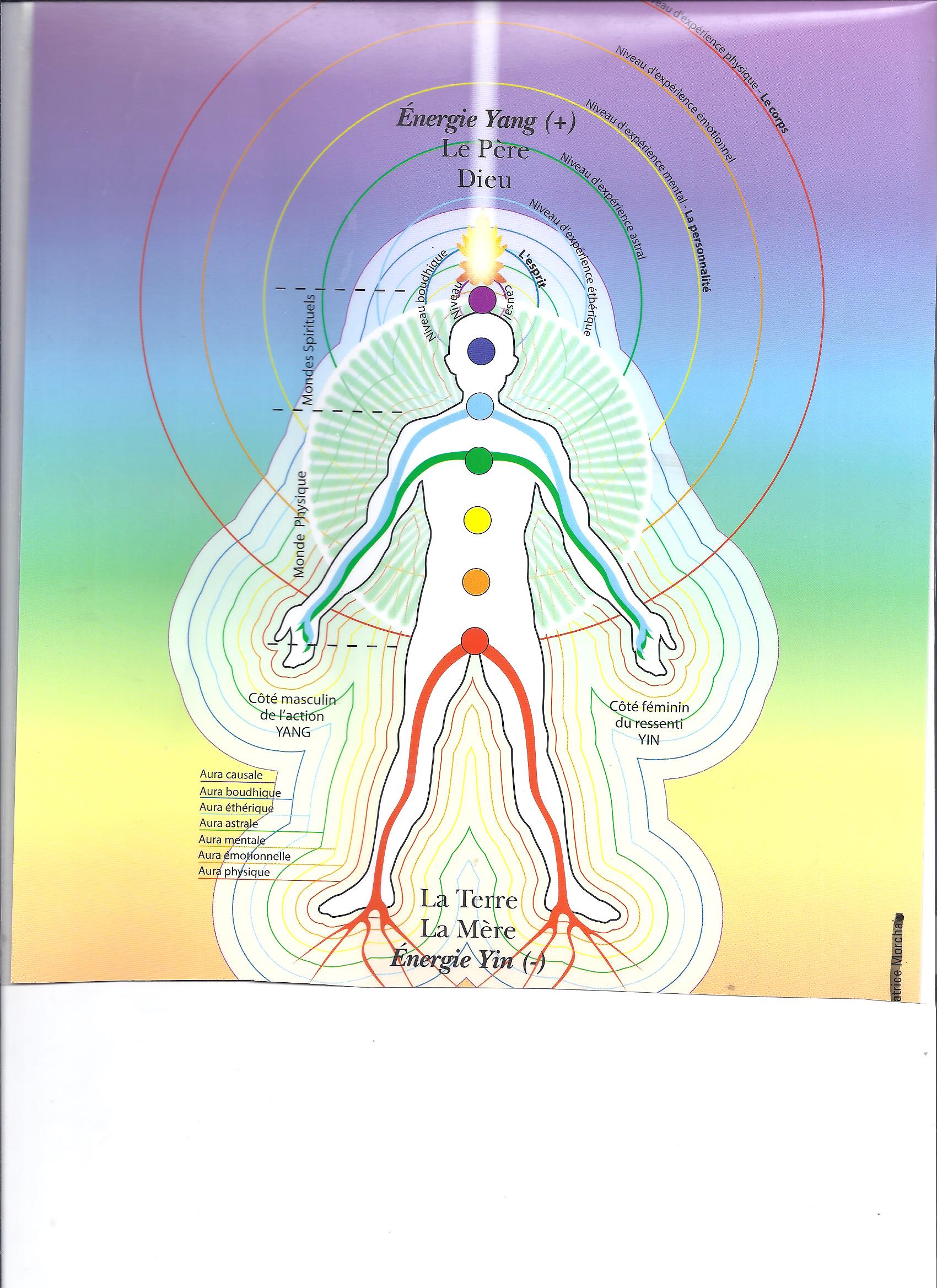 AURA ET CHAKRAS